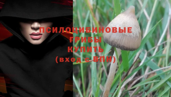 первитин Алексеевка