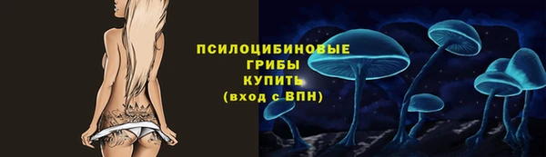 а пвп мука Алзамай