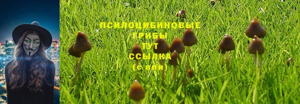 а пвп мука Алзамай
