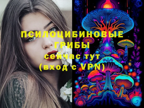 героин Алексин