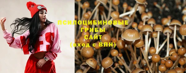героин Алексин