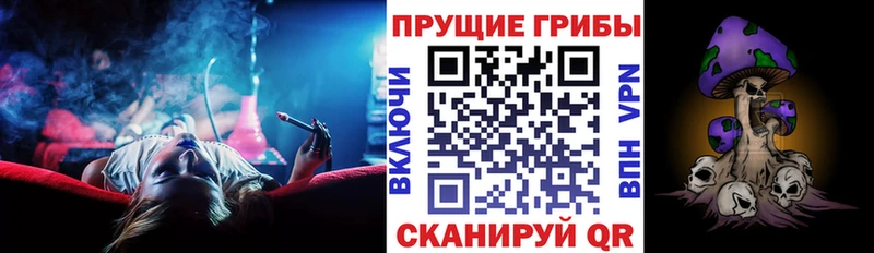 Галлюциногенные грибы Cubensis  Мензелинск 